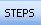 STEPS Exercises